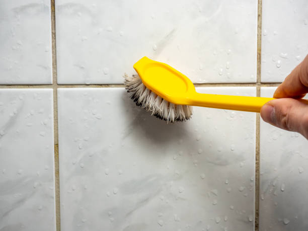 Best Commercial Mold Removal  in Gautier, MS
