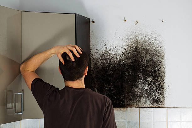 Best Crawl Space Mold Removal  in Gautier, MS